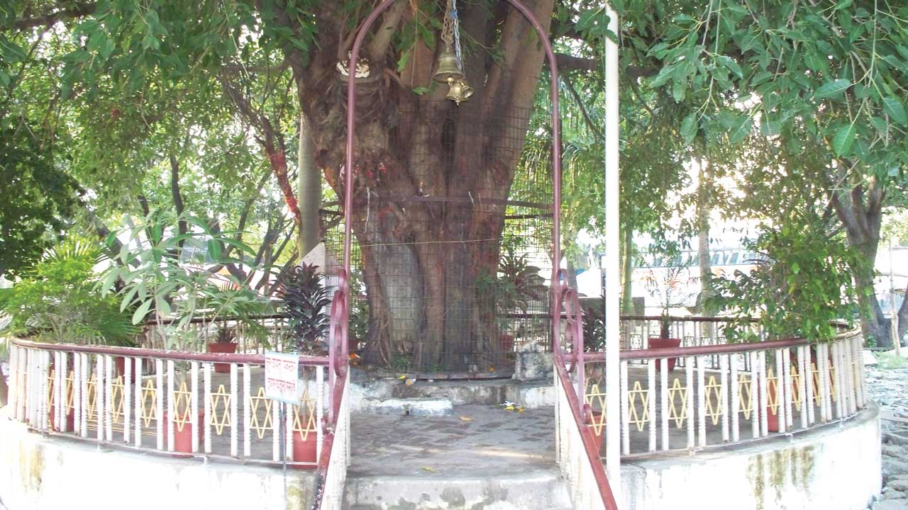 Panch Pallav